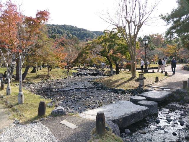 DSC_0047.JPG